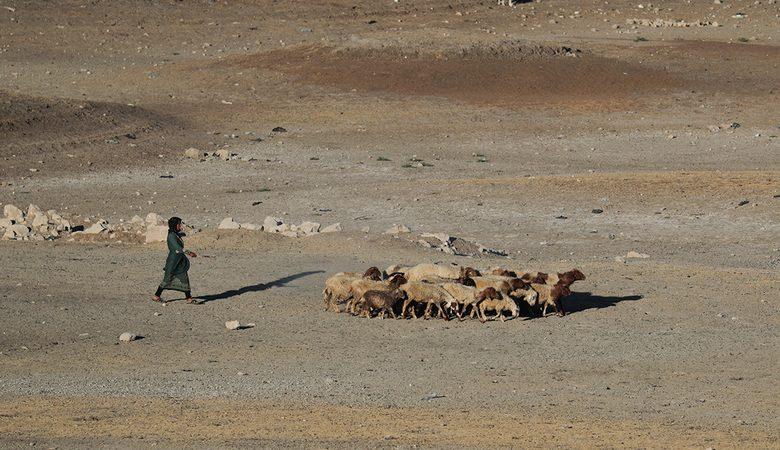 الجفاف فاقم «الكارثة» ودمر المجتمعات الريفية.... «الهلال الخصيب» يتلاشى في الشرق الأوسط مع ندرة الأمطار