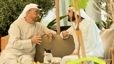 (فيديو) ما هي قصة القطة التي توسطت محمد بن زايد ومحمد بن راشد؟